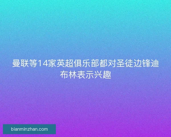 曼联等14家英超俱乐部都对圣徒边锋迪布林表示兴趣