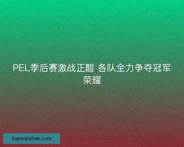 PEL季后赛激战正酣 各队全力争夺冠军荣耀